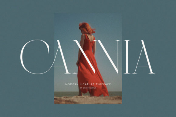 Download Cannia || Ligature Typeface - Type Collection